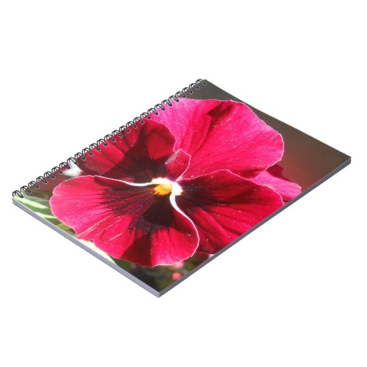 Lucrezia Notitieboek (Linkerzijde)