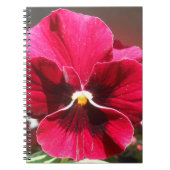 Lucrezia Notitieboek (Voorkant)