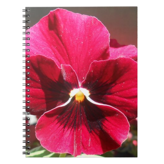 Lucrezia Notitieboek (Voorkant)