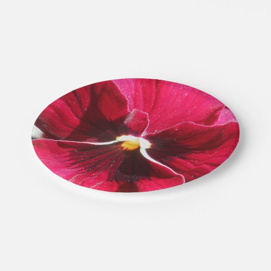 Lucrezia Papieren Bordje (Gekanteld)