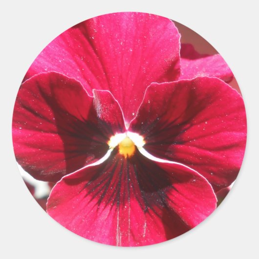 Lucrezia Ronde Sticker (Voorkant)