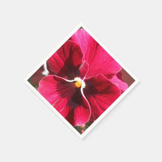 Lucrezia Servetten (Hoek)