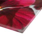 Lucrezia Snijplank (Hoek)