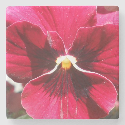 Lucrezia Stenen Onderzetter (Voorkant)