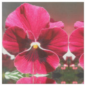 Lucrezia Stof (Close Up)