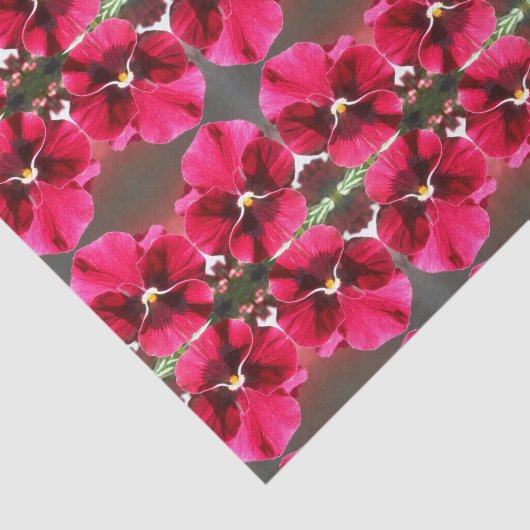 Lucrezia Tissuepapier (Detail)