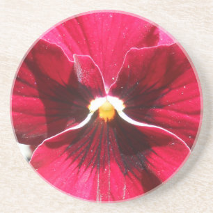 Lucrezia Zandsteen Onderzetter