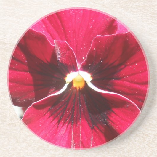 Lucrezia Zandsteen Onderzetter (Voorkant)