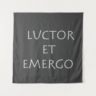 Luctor et emergo wandkleed