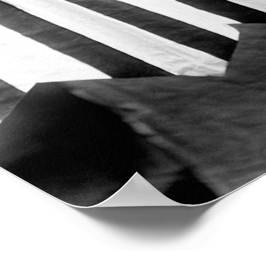 Lucy E. Anthony met Susan B. Anthony Banner Poster (Hoek)