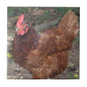 Lucy, het rode hoofd. tegeltje (Voorkant)