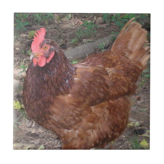 Lucy, het rode hoofd. tegeltje (Voorkant)