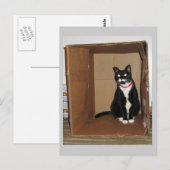 Lucy in een doos briefkaart (Voorkant / Achterkant)