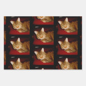 Lucy Kat — Papierbladen samenvoegen Inpakpapier Vel (Voorkant 3)