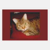 Lucy Kat — Papierbladen samenvoegen Inpakpapier Vel (Voorkant 2)