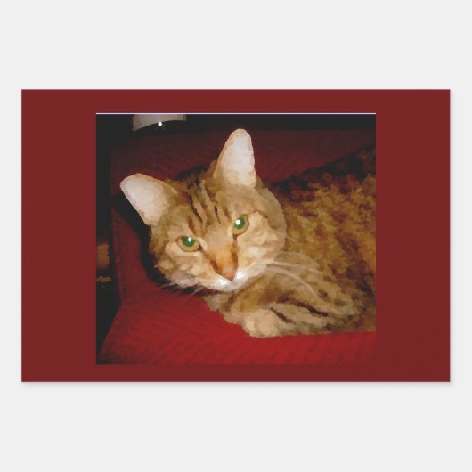 Lucy Kat — Papierbladen samenvoegen Inpakpapier Vel (Voorkant 2)