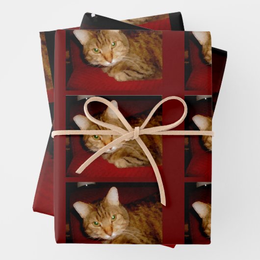 Lucy Kat — Papierbladen samenvoegen Inpakpapier Vel (In situ)