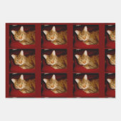 Lucy Kat — Papierbladen samenvoegen Inpakpapier Vel (Voorkant)