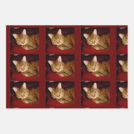 Lucy Kat — Papierbladen samenvoegen Inpakpapier Vel