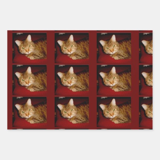 Lucy Kat — Papierbladen samenvoegen Inpakpapier Vel (Voorkant)