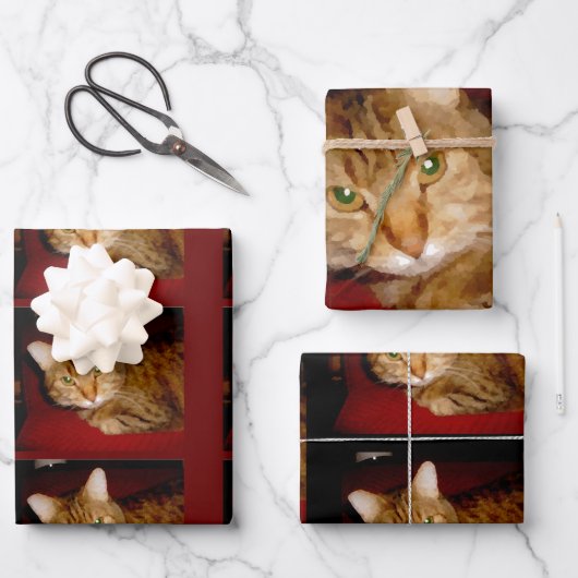 Lucy Kat — Papierbladen samenvoegen Inpakpapier Vel (Voorkant)