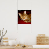 Lucy Kat Poster (Keuken)