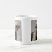 LUCY KOFFIEMOK (Center)