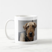 LUCY KOFFIEMOK (Links)