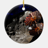 Lucy Mission Dinkinesh Binaire Asteroïde Keramisch Ornament (Achterkant)