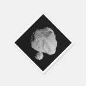 Lucy Mission Dinkinesh Binaire Asteroïde Servet (Hoek)