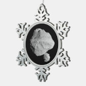 Lucy Mission Dinkinesh Binaire Asteroïde Tin Sneeuwvlok Ornament (Rechts)