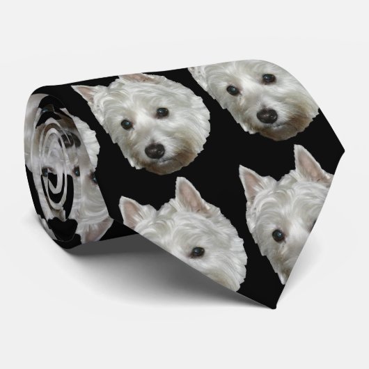 Lucy Stropdas (Opgerold)