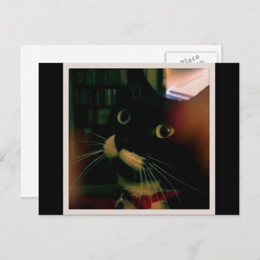 Lucy's Closeup Briefkaart (Voorkant / Achterkant)