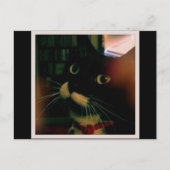 Lucy's Closeup Briefkaart (Voorkant)