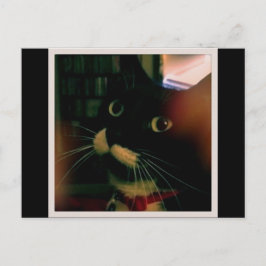 Lucy's Closeup Briefkaart