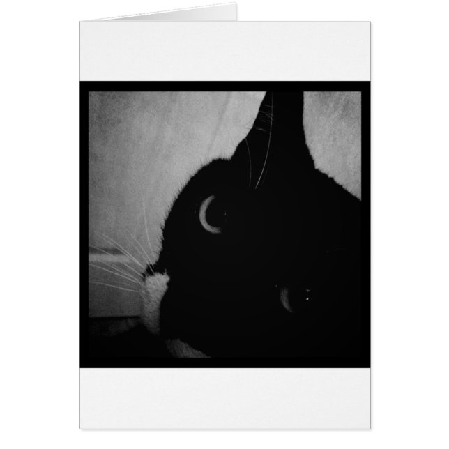 Lucy's Crazy Close (Voorkant)