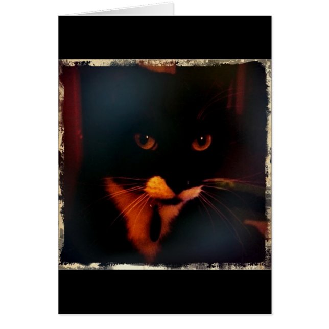 Lucy's dramatische look (Voorkant)