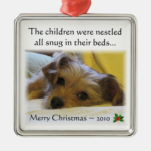 Lucy's kerstversiering 2010 metalen ornament (Voorkant)