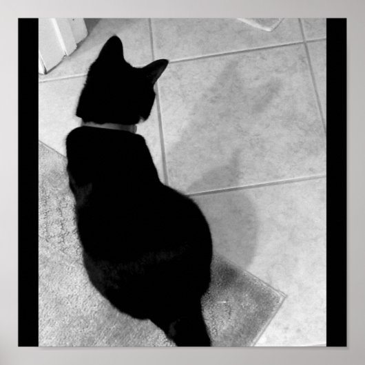 Lucy's schaduw B+W Poster (Voorkant)