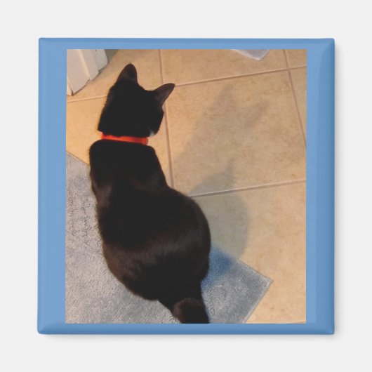 Lucy's Shadow Magneet (Voorkant)