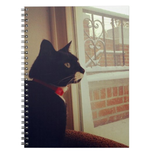 Lucy's sneeuwdag notitieboek (Voorkant)