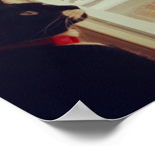 Lucy's sneeuwdag poster (Hoek)