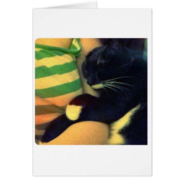 Lucy's Snuggles (Voorkant)