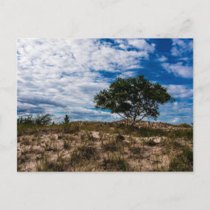 Ludington State Park, Michigan Briefkaart