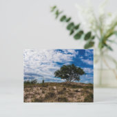 Ludington State Park, Michigan Briefkaart (Staand voorkant)