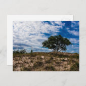 Ludington State Park, Michigan Briefkaart (Voorkant / Achterkant)