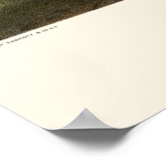 Ludlow, VT Panorama Map - 1859 Poster (Hoek)