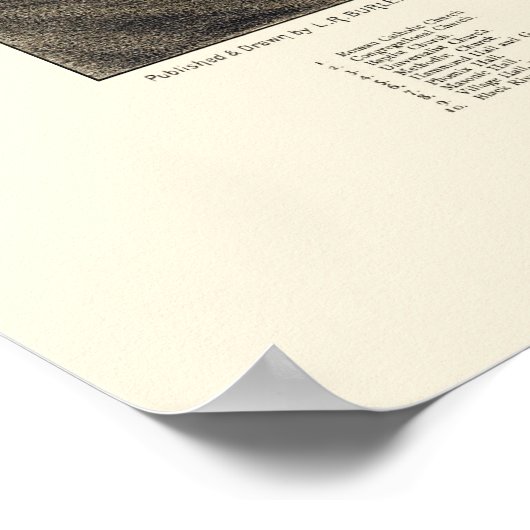 Ludlow, VT Panorama Map - 1885 Poster (Hoek)