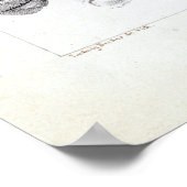 Ludwig Becker Murray Spiny Crayfish Poster (Hoek)