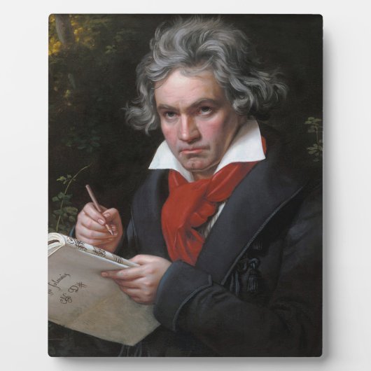Ludwig Beethoven Symphony Classical Music Composer Fotoplaat (Voorkant)